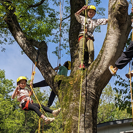 やっほーツリーイング/植村直己記念スポーツ公園（兵庫県/豊岡市）