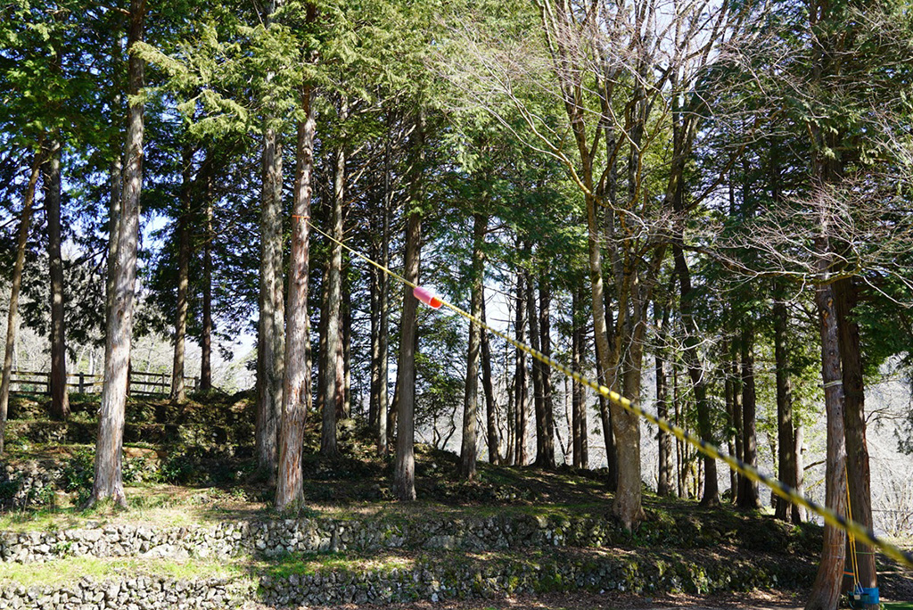木々の間をつないだロープに取り付けられた筒/植村直己記念スポーツ公園（兵庫県/豊岡市）