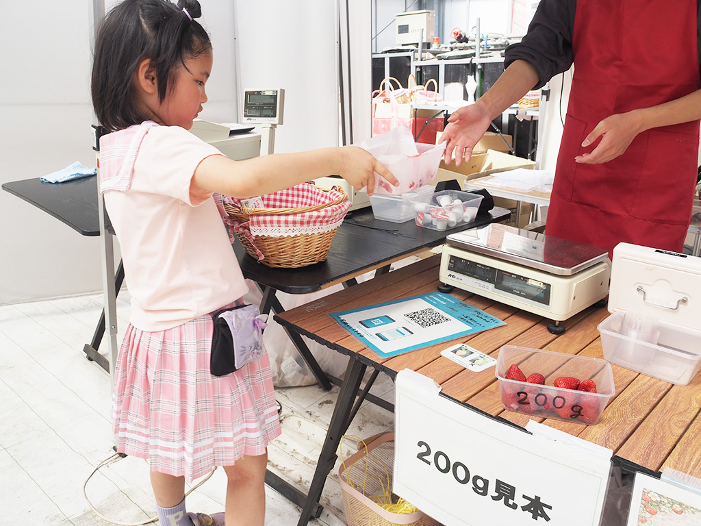 摘み取ったいちごを量る様子/空飛ぶいちご東京（東京都/府中市）