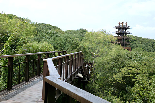 「ソラード(森の空中観察路)」/万博記念公園(大阪府/吹田市)