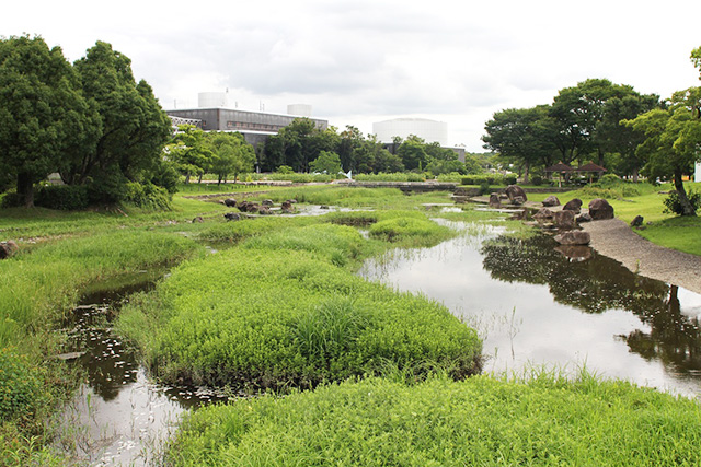/万博記念公園(大阪府/吹田市)