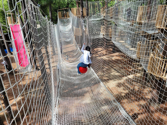 ターザンロープ/万博記念公園(大阪府/吹田市)