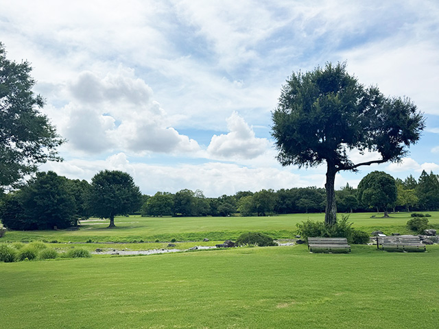 園内/万博記念公園(大阪府/吹田市)