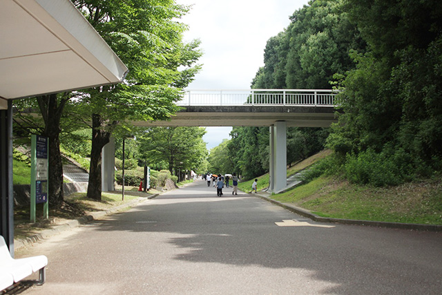 園内/万博記念公園(大阪府/吹田市)