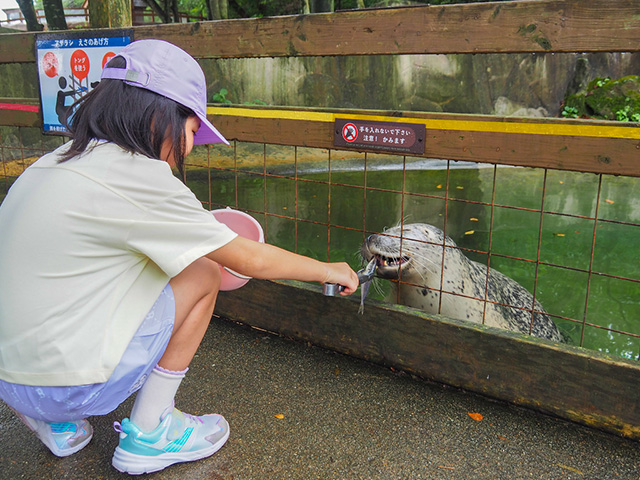 アザラシのエサやり体験/那須どうぶつ王国(栃木県/那須町)