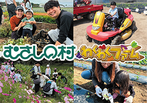 わくわくファーム秋のちょこっと農業体験(埼玉県加須市)
