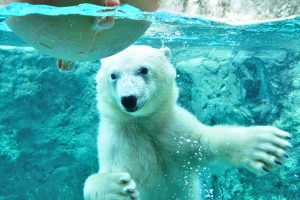 北海道の子連れ観光におすすめのスポット14選！親子で一緒に楽しめるスポットをジャンル別に紹介